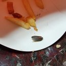 한국맥도날드강남 이미지