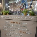 참배나무골오리집여의도점 | 여의도 몸보신 복날엔 오리전골 맛집 산삼골오리집
