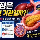 당뇨병은 전조 증상이 없다췌장이 망가지기 전에 반드시 관리해야 하는 이유 이미지