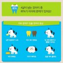 (주)아이펫 이미지