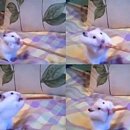 먹다