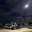 십리대밭교 화장실 | 울산 태화강 대숲납량축제 후기 울산 축제 정보