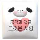 아이빌안경콘텍트 이미지