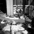 경천식물원 이미지