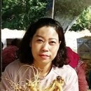 진솔 홍삼원