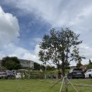 소로 브레드 | 천안 대형카페 추천 뚜쥬루 빵돌가마마을 - 빵천국 빵맛집 : )