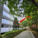 우면코오롱아파트 이미지