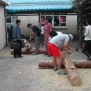 지보고등학교 이미지