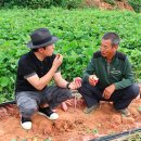 남궁농원 이미지