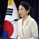 김인애 카카오 검색결과