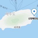 신양신산해안도로 네이버블로그