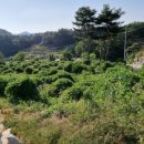 내흥리농장 이미지