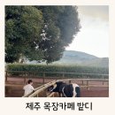 이건목장 | 제주도 밭디 카페, 아이와 즐기기 좋은 목장 체험 후기 (카페, 전동 자동차)