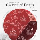 2021년 사망 원인 상위 20가지 이미지