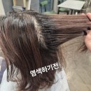 펫밀리쌀롱 | 수성구 범어동 미용실 도이하우스 방문기 ✨ 리나 실장님 염색 시술 후기!