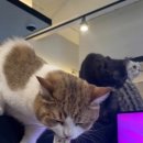 아이디온PC카페 이미지