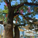 다복회관 | 박효신 뮤지컬 팬텀, 서머셋팰리스 서울, 경복궁, 조계사