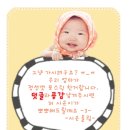 스튜디오 본프리 : 명작 애니메이션 그림책