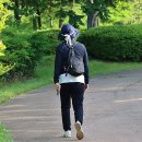 5월의 꽃ㅡ유동,실거리나무 외- by 모모수계 이미지