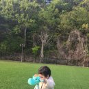 밧개플레이스2 이미지