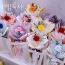 아이엠로사 이미지