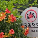한국꽃차학교