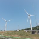 새말목장 이미지