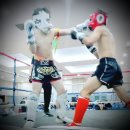 체육회관 1층 이벤트홀 이미지