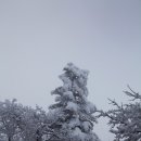 바람이 없어 아쉬었던 두문산에서 이미지