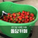 일희농장 이미지