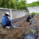 무을초등학교 이미지