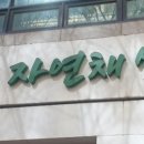 (주)자연채 네이버블로그