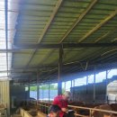 한중농장 이미지