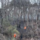 고성소방서 이미지