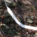 효준농장 이미지