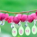 우선진 이미지