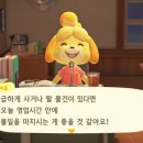 너굴상점 이미지