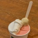 해밀 프라자 | [ 밀스 젤라또 ] 해밀동 디저트 | 해밀단길 | 추천맛 | 솔직후기ㅣ주차정보🍧