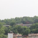 야촌주유소 이미지