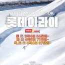 롯데여관 | 🏔️ 니가타 파우더의 성지! 2026 롯데 아라이 리조트 갓성비 여행 끝판왕