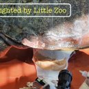 거북축산 이미지