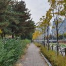 석천근린공원 이미지