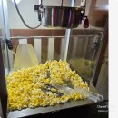 삼통치킨 | 🍗 수원버스터미널 치킨 맛집뱅뱅돈까스 수원시청직영점 삼통치킨&amp;Beer 후기