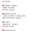 푸앵드리 이미지