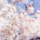 우연히;봄