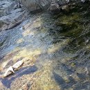 오카나간캠핑장 이미지