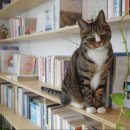 어떤날민박 이미지