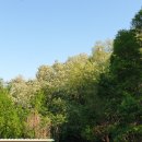 베드로 농장 이미지