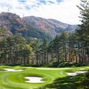 두레골프클럽 이미지