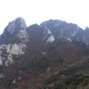 불광역1번출구뒷 Daum카페